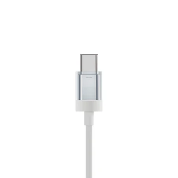 A silver USB-C cable connector rendered against white.